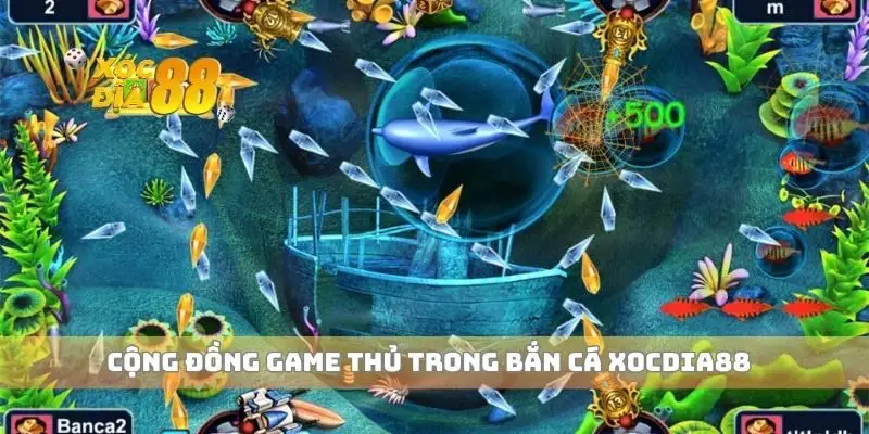 Cộng đồng game thủ trong bắn cá xocdia88