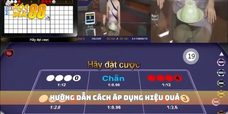 Hướng dẫn cách áp dụng hiệu quả